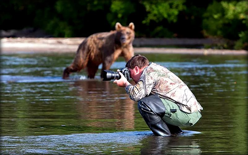 fotografiruet-medvedey