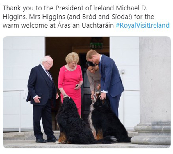 президент ирландии с принцем чарльзем