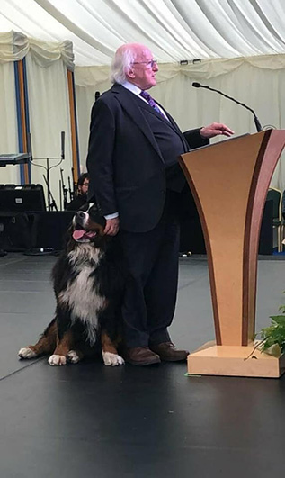 президент ирландии с собакой